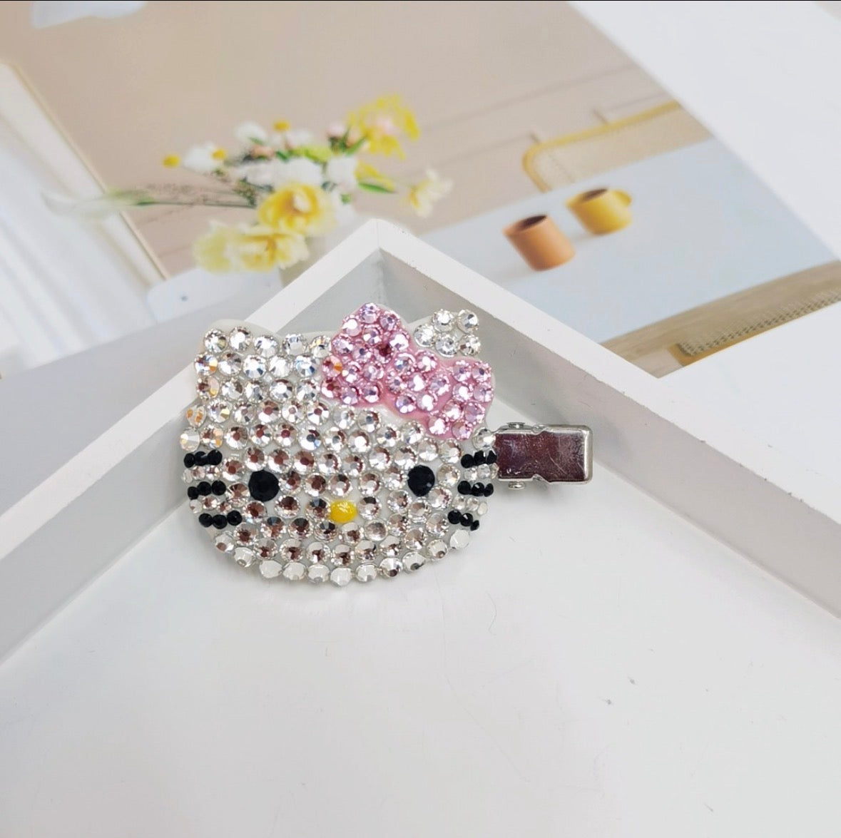 Apo Island Hair Clips
