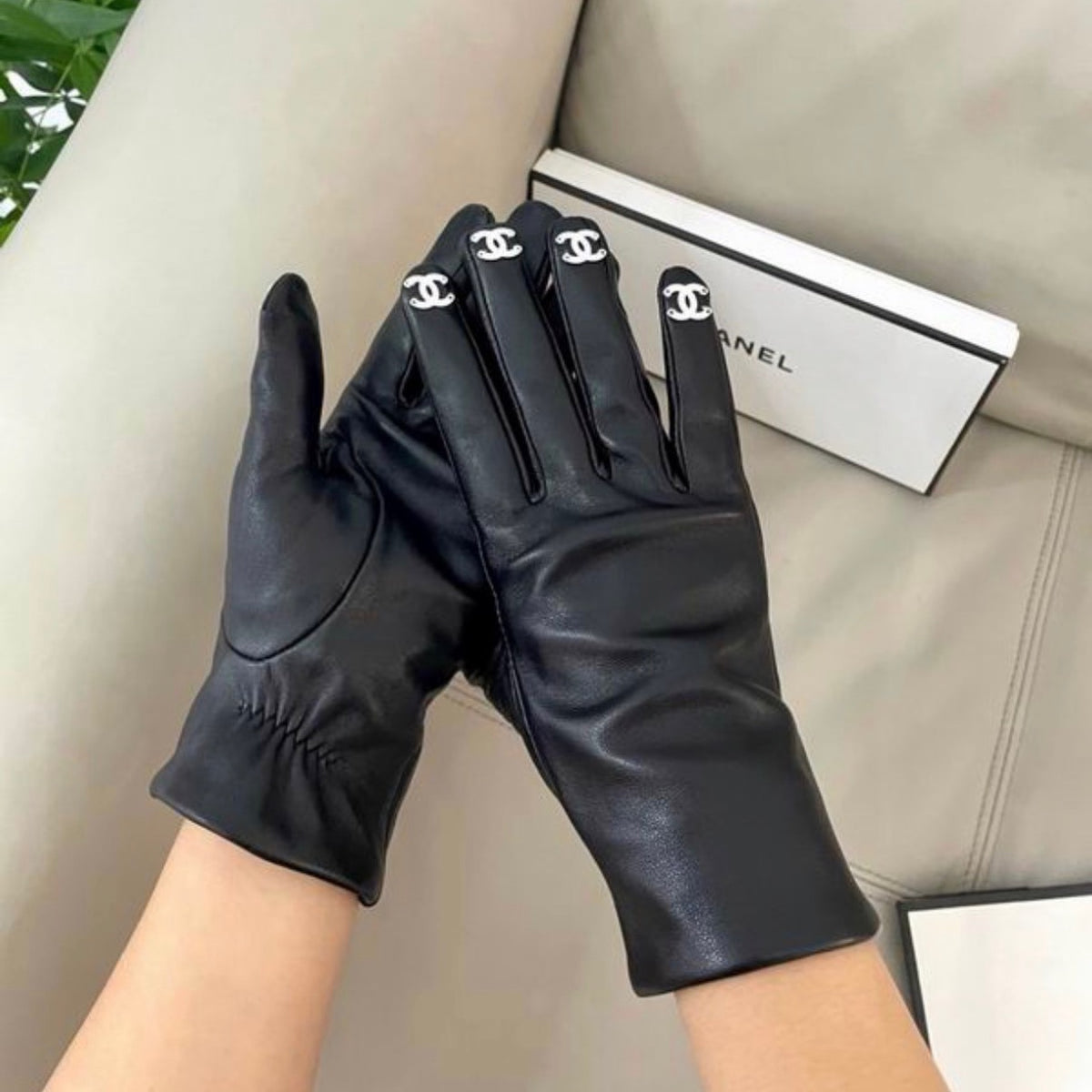 Alegria Beach Resort Gloves